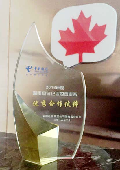 2016年度中国电信合作伙伴
