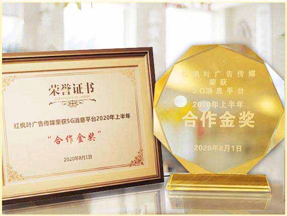 2020年荣获5G消息平台2020年上半年“合作金奖”