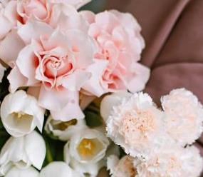 生物医药企业如何向行业传递研发进展？信息流广告助力科学信息传播与专业认知建立