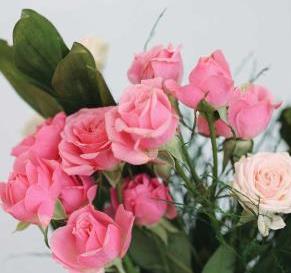 区域餐饮品牌如何突破地域限制？精细化招商实现跨区域发展