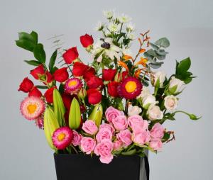 现代农业园区如何吸引科技农业与食品加工企业？信息流广告呈现规模化生产与产业链价值