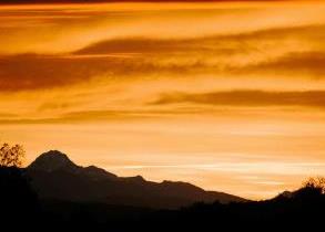 文创产业园区如何吸引优质内容创作者与机构？信息流广告展现独特空间魅力与产业氛围