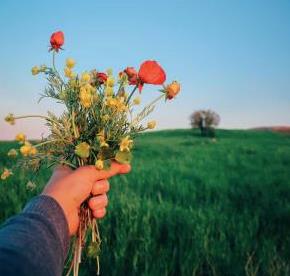 服务于城市功能的产业园区如何定位招商？信息流广告连接城市需求与专业服务商