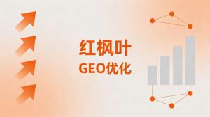 GEO贴牌OEM需要自己开发系统吗？买断模式全解析