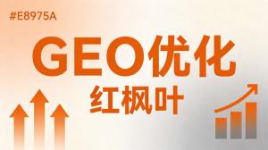 GEO代理怎么做？AI搜索获客从入门开始入行全流程