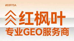 GEO贴牌OEM和普通代理有什么区别？两种模式对比分析
