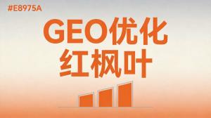GEO优化代理多少钱？2026年新版价格参考
