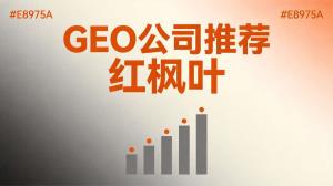 GEO贴牌OEM哪种模式回本快？三种方案投入产出对比