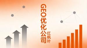 GEO服务合作前 怎么判断对方懂不懂您的行业