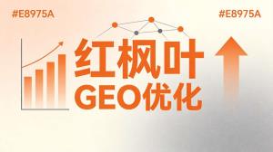 GEO工具和GEO服务 买工具还是买服务