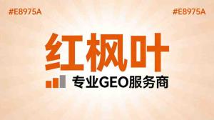 GEO贴牌OEM全程托管包含什么？服务模式详解