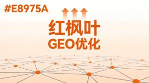 GEO和官网什么关系，没有官网能做吗